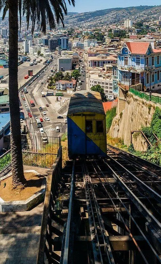 Ascensor de Valparaíso bajando hacia la ciudad, entre palmeras