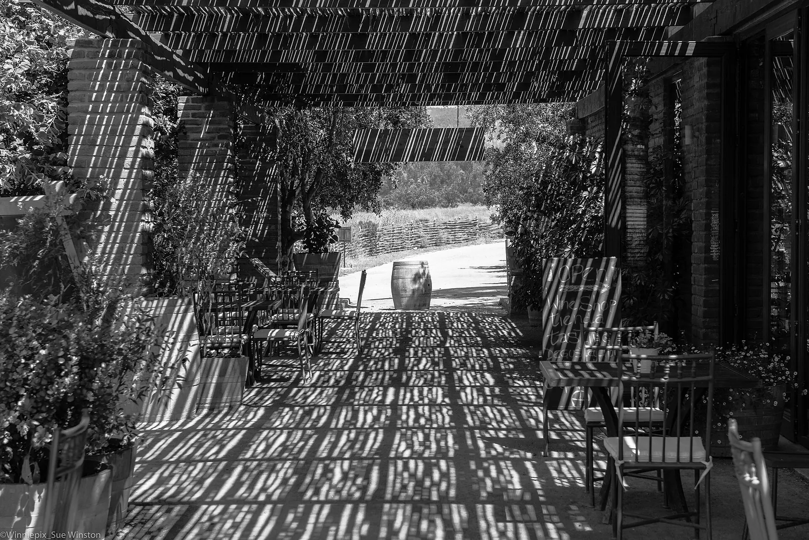 Sombras de una pérgola en una viña del Valle de Casablanca