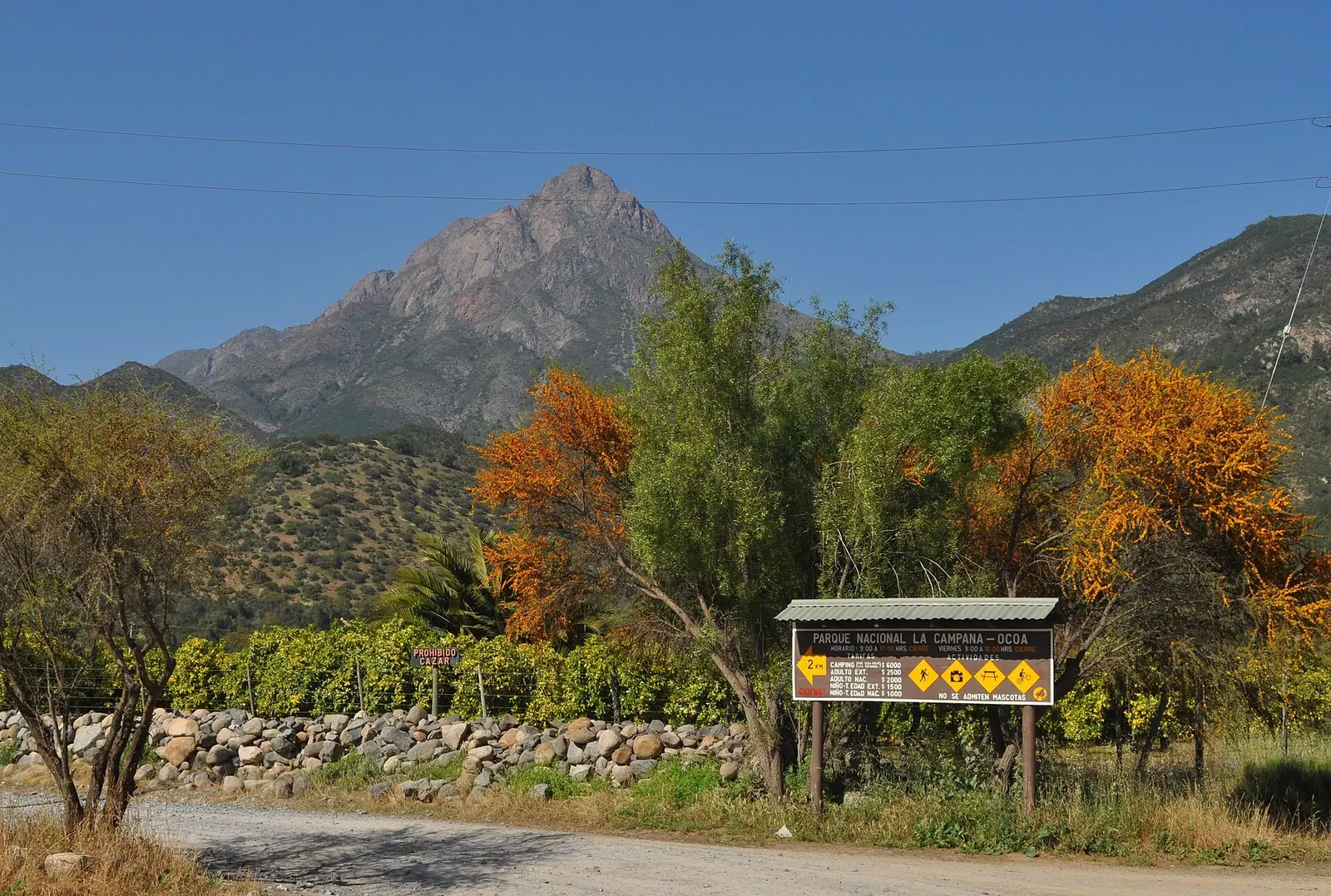 Cerro La Campana sobre el bosque en otoño